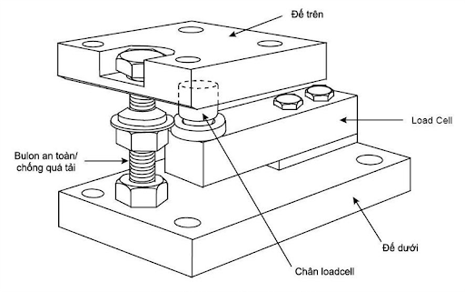 loadcell cau truc