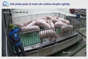 Phần mềm cân phương tiện