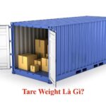 tare-weight-la-gi-1