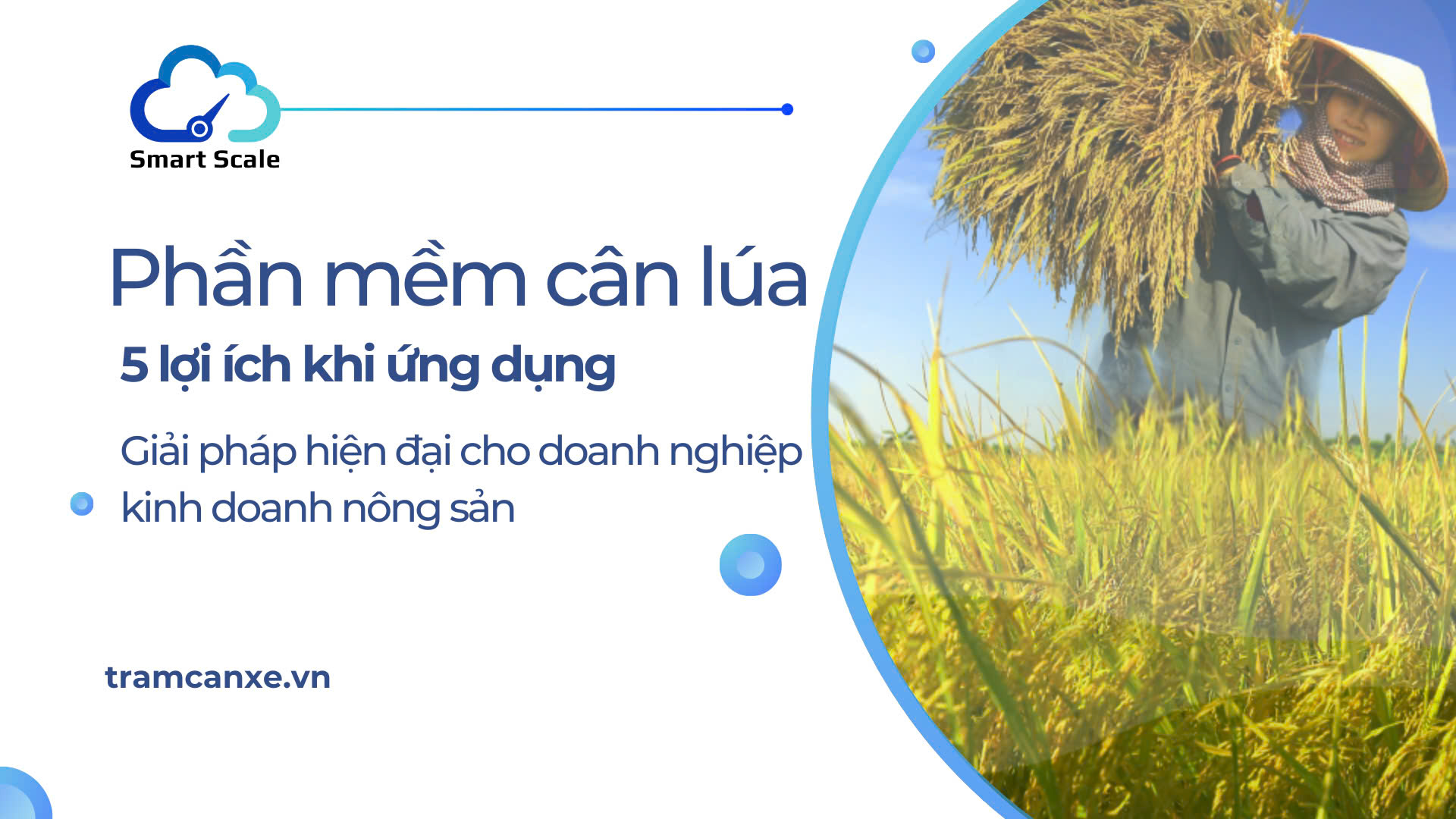 5 Lợi ích khi ứng dụng phần mềm cân lúa đối với doanh nghiệp trong lĩnh vực sản xuất kinh doanh nông sản