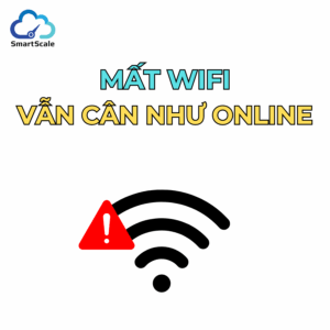 Khả năng vận hành offline của SmartScale: Đảm bảo quy trình cân liên tục mà không cần internet