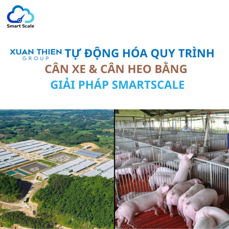 XUÂN THIỆN GROUP – TỰ ĐỘNG HÓA QUY TRÌNH CÂN XE & CÂN HEO BẰNG SMARTSCALE