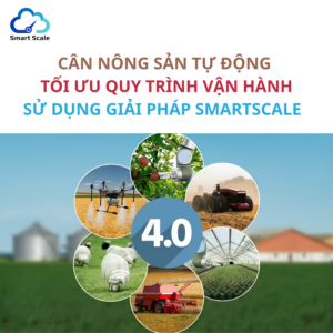 CÂN NÔNG SẢN TỰ ĐỘNG SỬ DỤNG GIẢI PHÁP SMARTSCALE TỐI ƯU QUY TRÌNH VẬN HÀNH