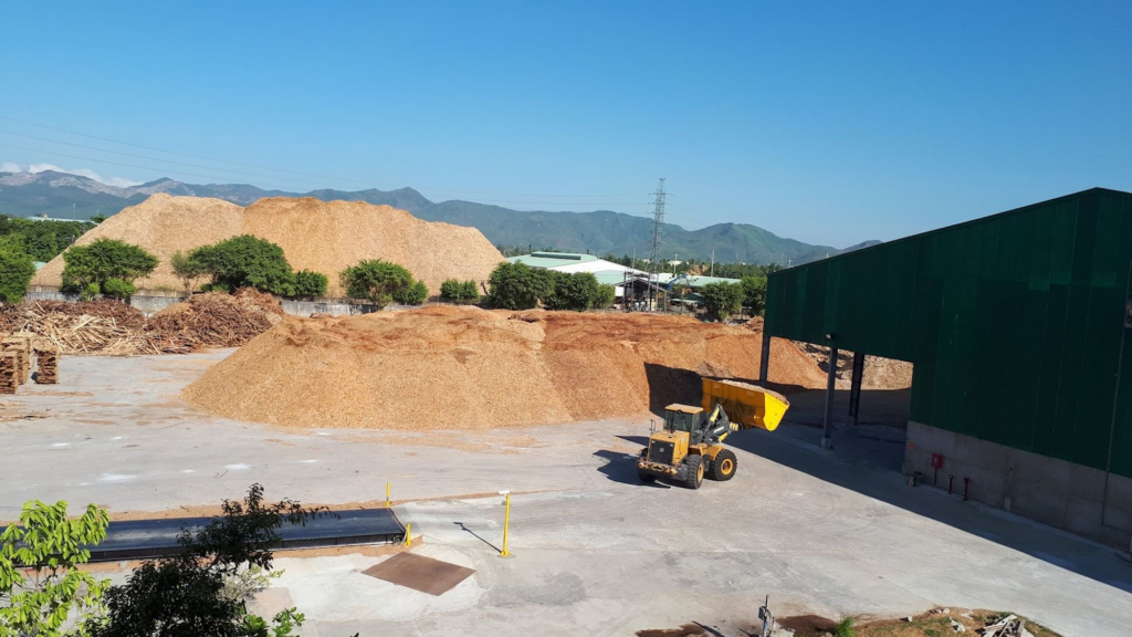 Ayo biomass